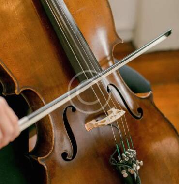 5 Popular Viola performances